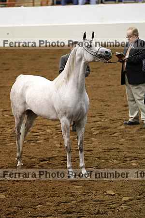 Proof 10r12_3911