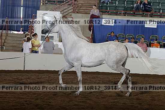 Proof 10r12_3914