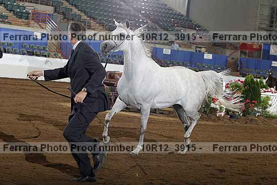 Proof 10r12_3915