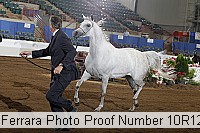10r12_3915 proof