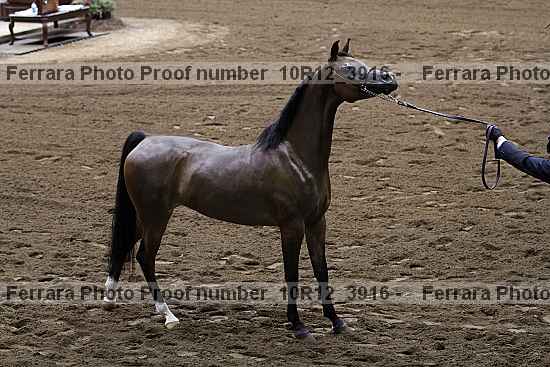 Proof 10r12_3916