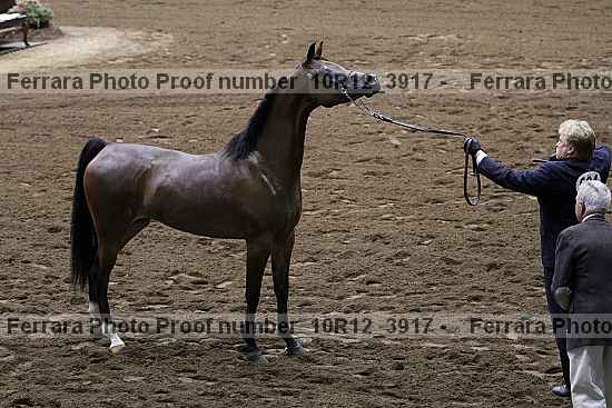 Proof 10r12_3917