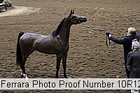 10r12_3917 proof