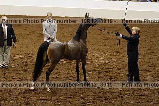 Proof 10r12_3919