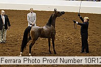 10r12_3919 proof