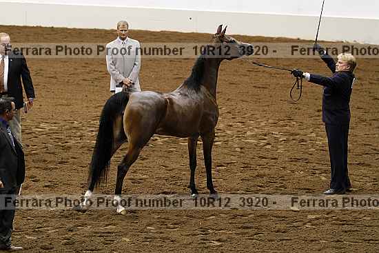 Proof 10r12_3920