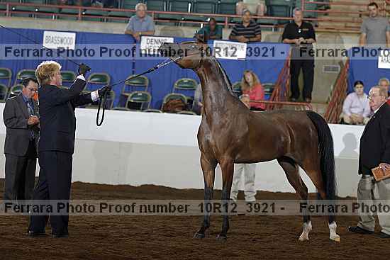 Proof 10r12_3921