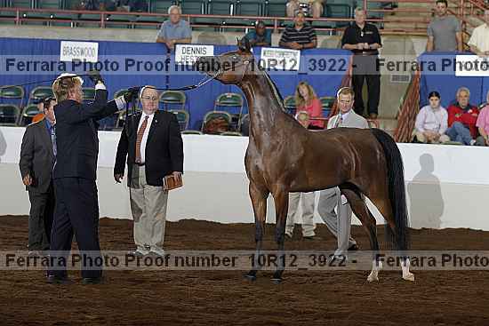 Proof 10r12_3922