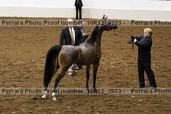 Proof 10r12_3923