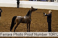 10r12_3925 proof