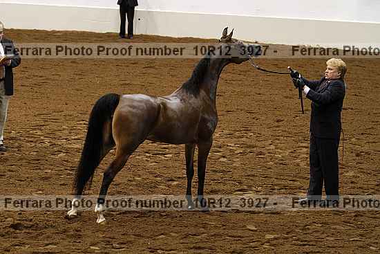Proof 10r12_3927