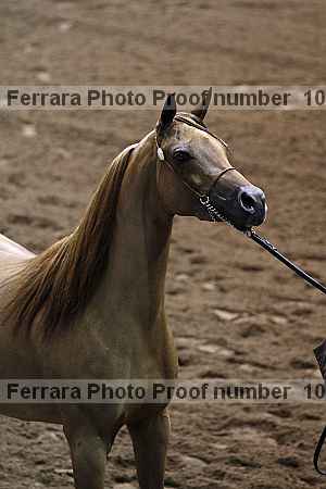 Proof 10r12_3929