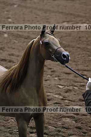Proof 10r12_3930