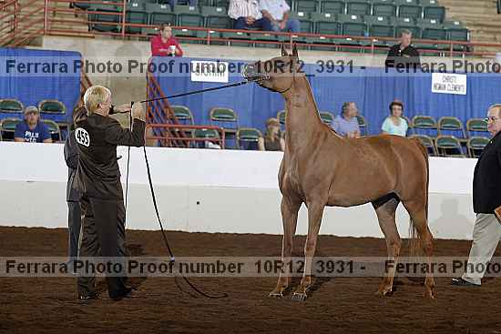 Proof 10r12_3931