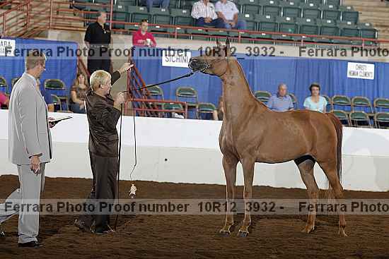 Proof 10r12_3932