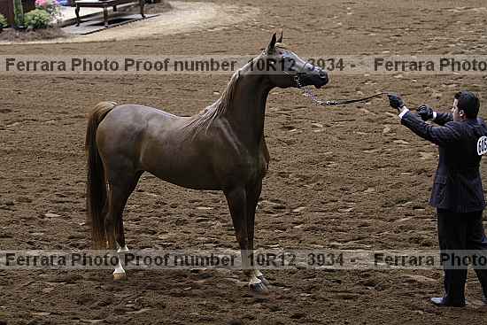 Proof 10r12_3934