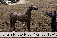 10r12_3934 proof
