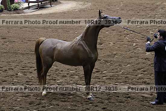 Proof 10r12_3936