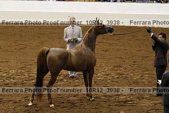 Proof 10r12_3938