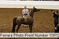 10r12_3938 proof