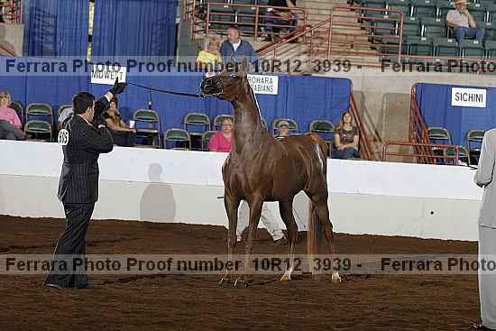 Proof 10r12_3939