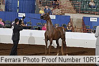 10r12_3939 proof
