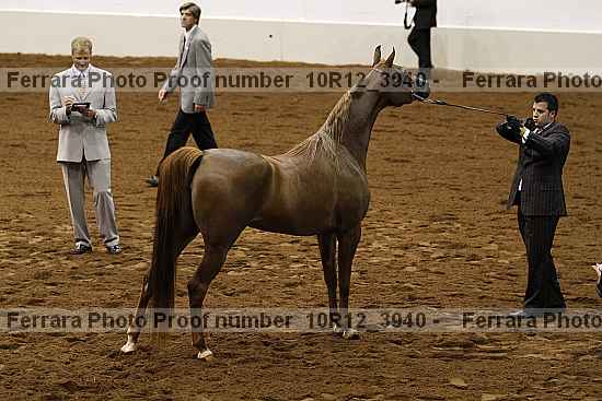 Proof 10r12_3940