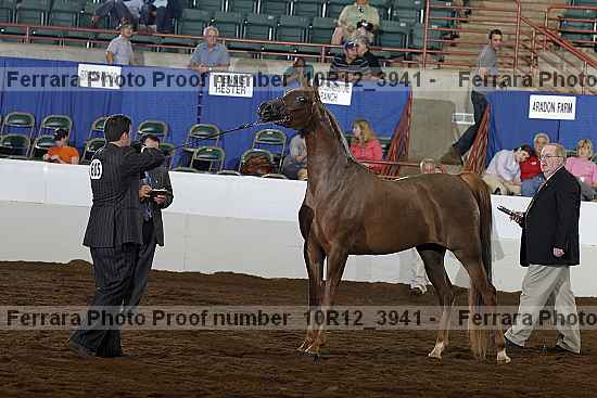 Proof 10r12_3941