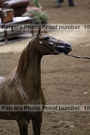 Proof 10r12_3943