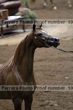 Proof 10r12_3944