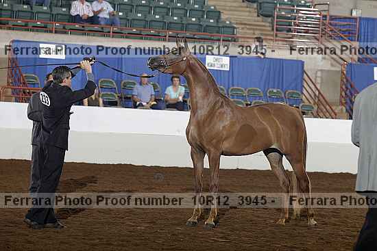 Proof 10r12_3945