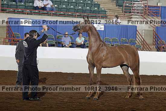 Proof 10r12_3946