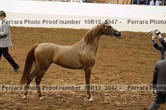 Proof 10r12_3947