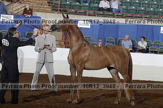 Proof 10r12_3948