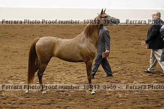 Proof 10r12_3950