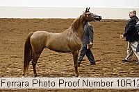 10r12_3950 proof