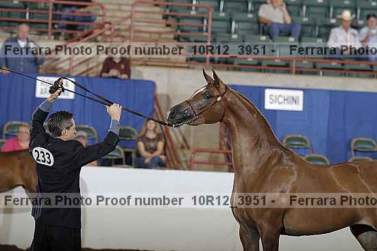 Proof 10r12_3951