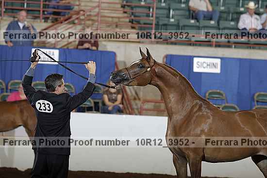 Proof 10r12_3952