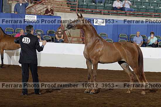 Proof 10r12_3953