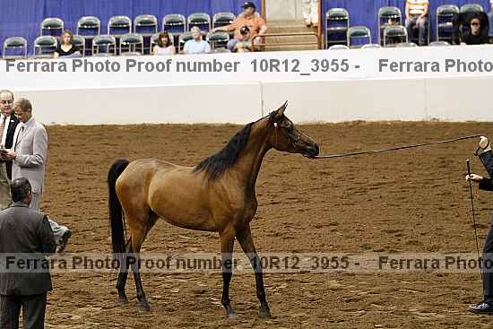 Proof 10r12_3955