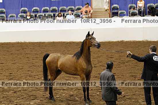 Proof 10r12_3956