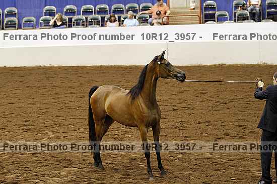 Proof 10r12_3957
