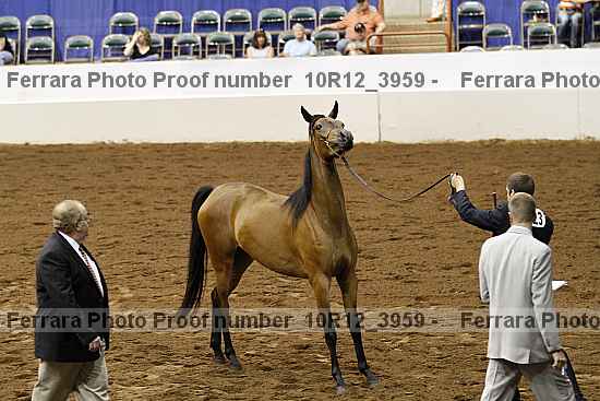 Proof 10r12_3959