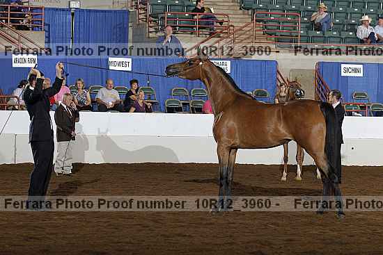 Proof 10r12_3960
