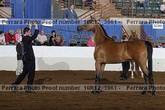 Proof 10r12_3961