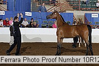 10r12_3961 proof