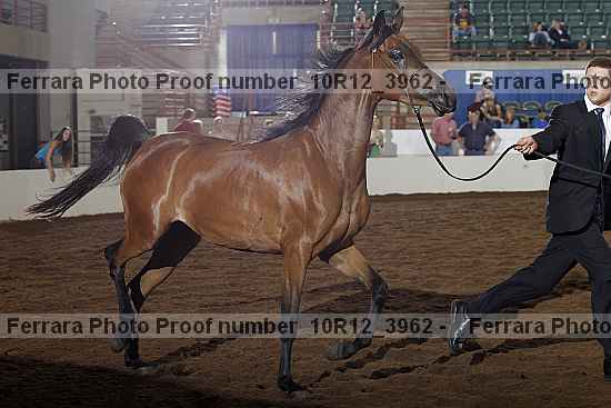 Proof 10r12_3962