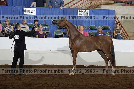 Proof 10r12_3963