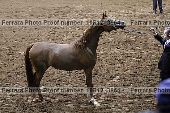 Proof 10r12_3964