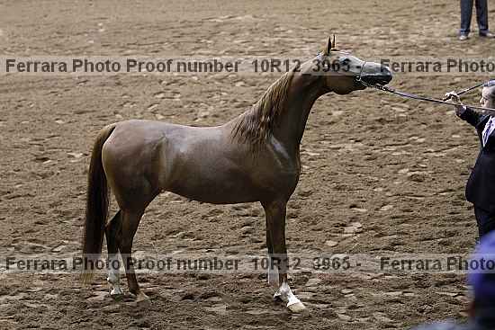 Proof 10r12_3965